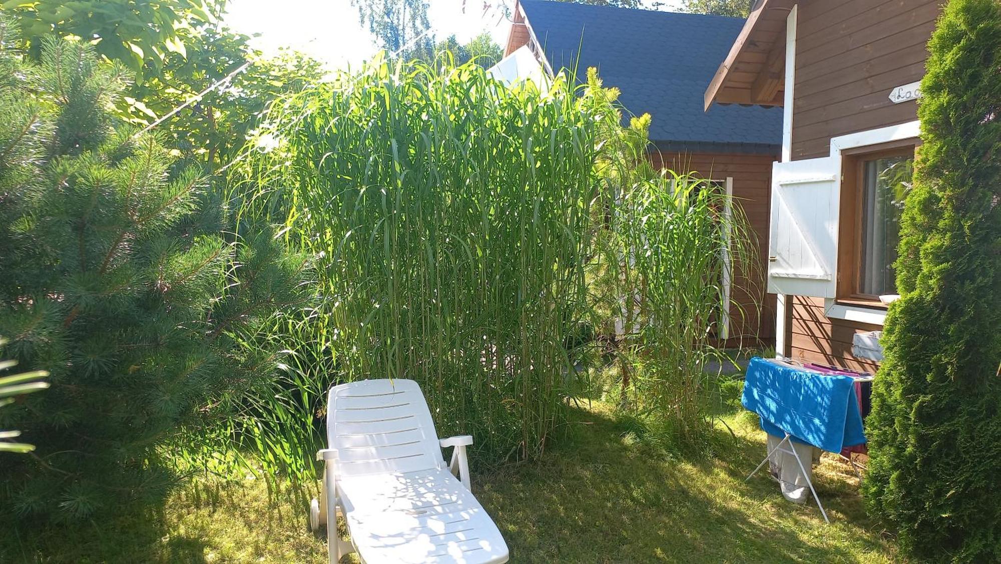 Willa La Osada Mielno  Zewnętrze zdjęcie